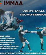 Image result for Types of MMA