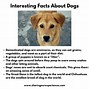Image result for 10 Facts About Animals