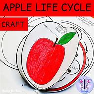 Image result for Apple Tree Life Cycle Craft