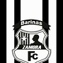 Image result for co_to_za_zamora_barinas