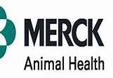 Image result for Merck Animal Health Logo