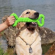 Image result for Dog Chew Toy Cell Phone