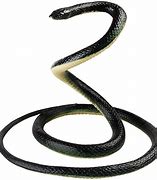 Image result for Black Mamba Snake Toy