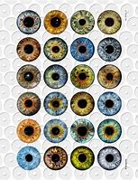 Image result for Printable Irises Eyes