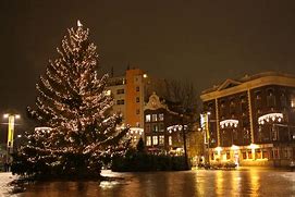 Image result for Merry Christmas Netherlands