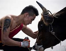 Image result for Kung Fu Bullfighters