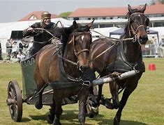 Image result for Engine Chariot Racing