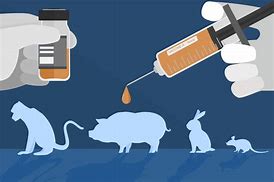 Image result for Drug Toxicity Experiment