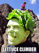 Image result for Head of Lettuce Meme