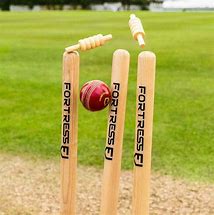 Image result for Cricket Stamp Wood