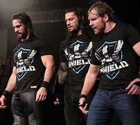 Image result for The Shield WWE and Fans