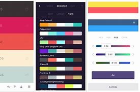 Image result for Color Combinations for App
