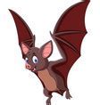 Image result for Bat Cartoon Pic