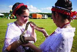 Image result for Ballet Folklorico Hair Dues