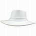 Image result for Cricket Umpire Most Hats