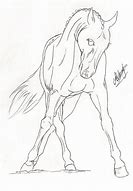 Image result for Dressage Horse Drawing