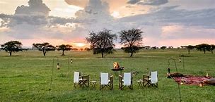 Image result for Luxury Serengeti Safari