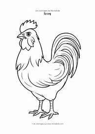 Image result for Funny Coq