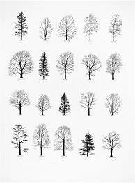 Image result for Tree Tattoo Sketch