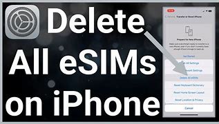 Image result for How to Delete Esim