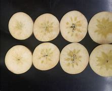 Image result for Water Cored Apple