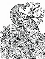 Image result for Adult Color by Number Coloring Pages