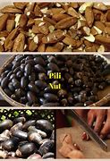 Image result for Biggest Seed in the Philippines