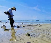 Image result for Beach Metal Detector