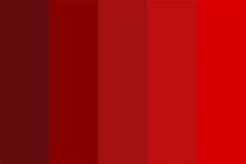 Image result for Cherry Red Blood Color