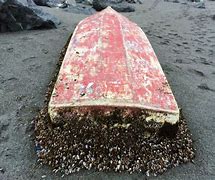 Image result for Sandbagging a Tsunami