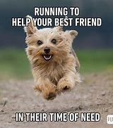 Image result for Cute Friendship Memes