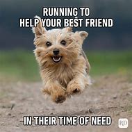 Image result for What Make a Good Friend Funny