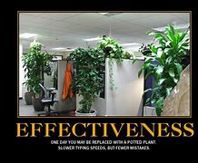 Image result for Office Plant Meme