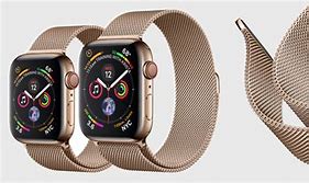 Image result for Apple Watch Colors Series 4 Stainless Steel