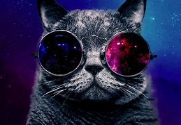 Image result for Purple Galaxy Cat Wallpaper 4K