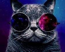 Image result for Galaxy Cat PFP Cute