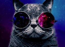 Image result for Funny Galaxy PFP