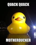 Image result for Rubber Duck Meme