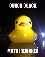 Image result for Rubber Ducky Meme Funny