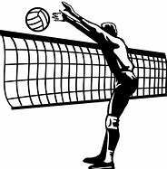 Image result for Best Volleyball Ball