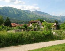 Image result for aviano