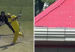 Image result for Frame Roof Cricket