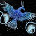 Image result for Mythical Ice Bird