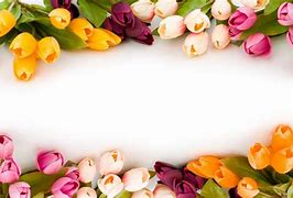Image result for PowerPoint Flower Theme