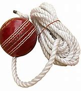 Image result for String for a Cricket Bat