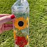 Image result for Carton Water Bottle