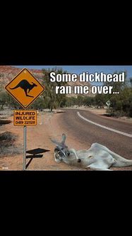 Image result for Australia Weather Memes