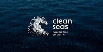 Image result for Clean Seas iPad Mesh Mind