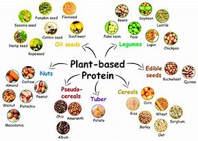 Image result for Best Protein Sources