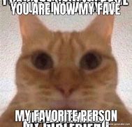 Image result for You Are My Favorite Human Meme